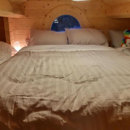 Springbank Cabin Insch Buitenkant foto
